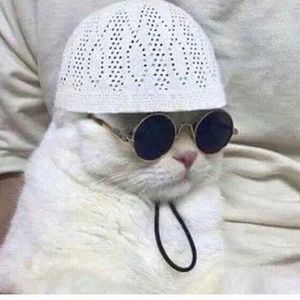 Meet your Posher, Manrique